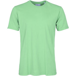 Classic Organic Tee - Faded Mint